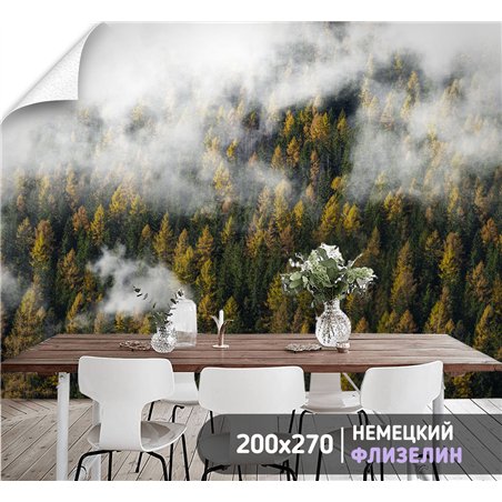 Фотообои Осенний лес в тумане и облаках 200х270 см для коридора