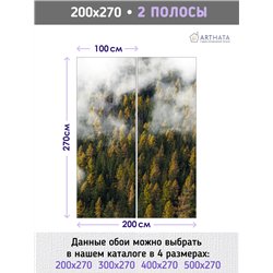Фотообои Осенний лес в тумане и облаках 200х270 см для коридора
