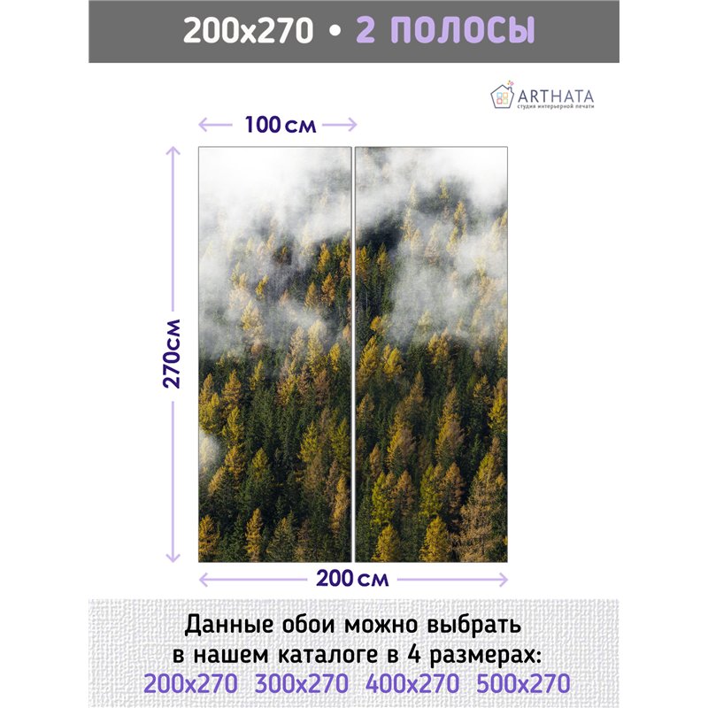 Фотообои Осенний лес в тумане и облаках 200х270 см для коридора