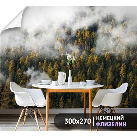 Фотообои Осенний лес в тумане и облаках 300х270 см для декорирования стен в зале