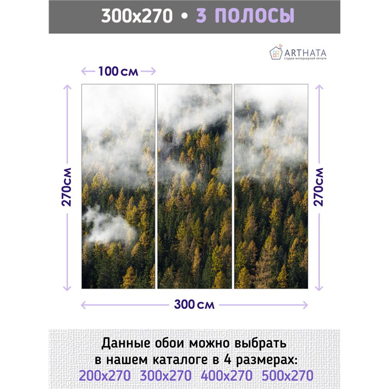 Фотообои Осенний лес в тумане и облаках 300х270 см для декорирования стен в зале
