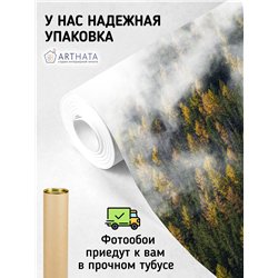Фотообои Осенний лес в тумане и облаках 300х270 см для декорирования стен в зале