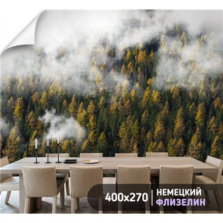 Фотообои Осенний лес в тумане и облаках 400х270 см для оформления стен в гостиной