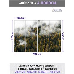 Фотообои Осенний лес в тумане и облаках 400х270 см для оформления стен в гостиной