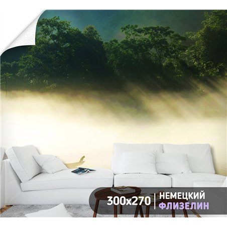 Фотообои Лес в тумане с засветом 300х270 см для спальни
