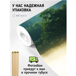 Фотообои Лес в тумане с засветом 500х270 см для стен в зале