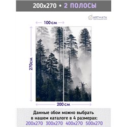 Фотообои Сосновый лес в тумане 200х270 см для стен в гостиной