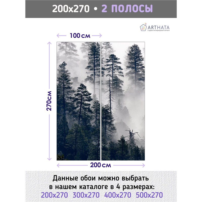 Фотообои Сосновый лес в тумане 200х270 см для стен в гостиной