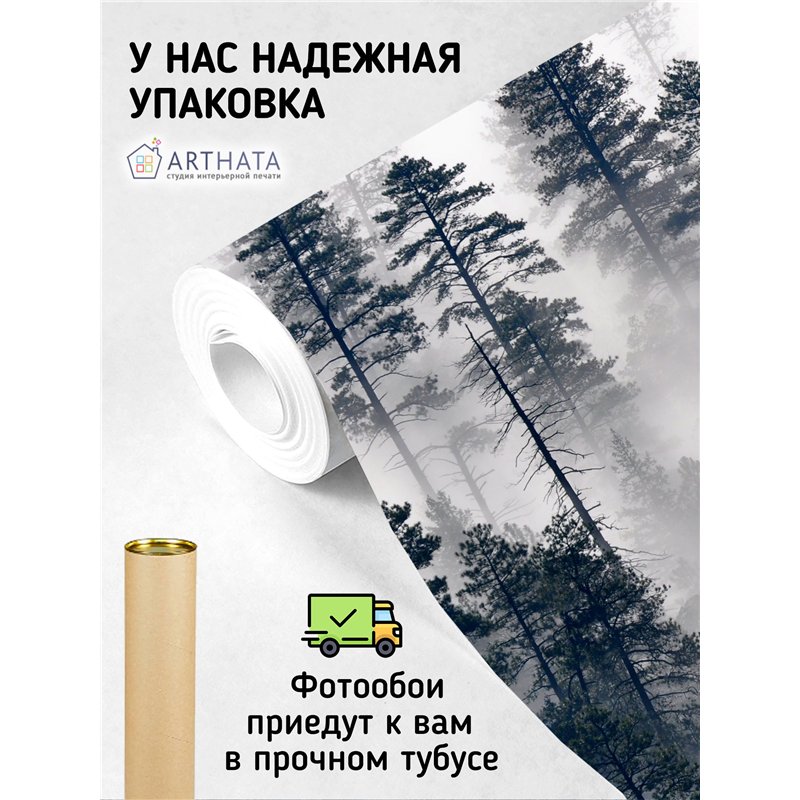 Фотообои Сосновый лес в тумане 200х270 см для стен в гостиной