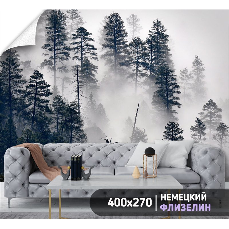 Фотообои Сосновый лес в тумане 400х270 см для коридора