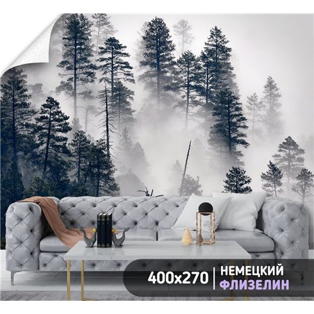 Фотообои Сосновый лес в тумане 400х270 см для коридора