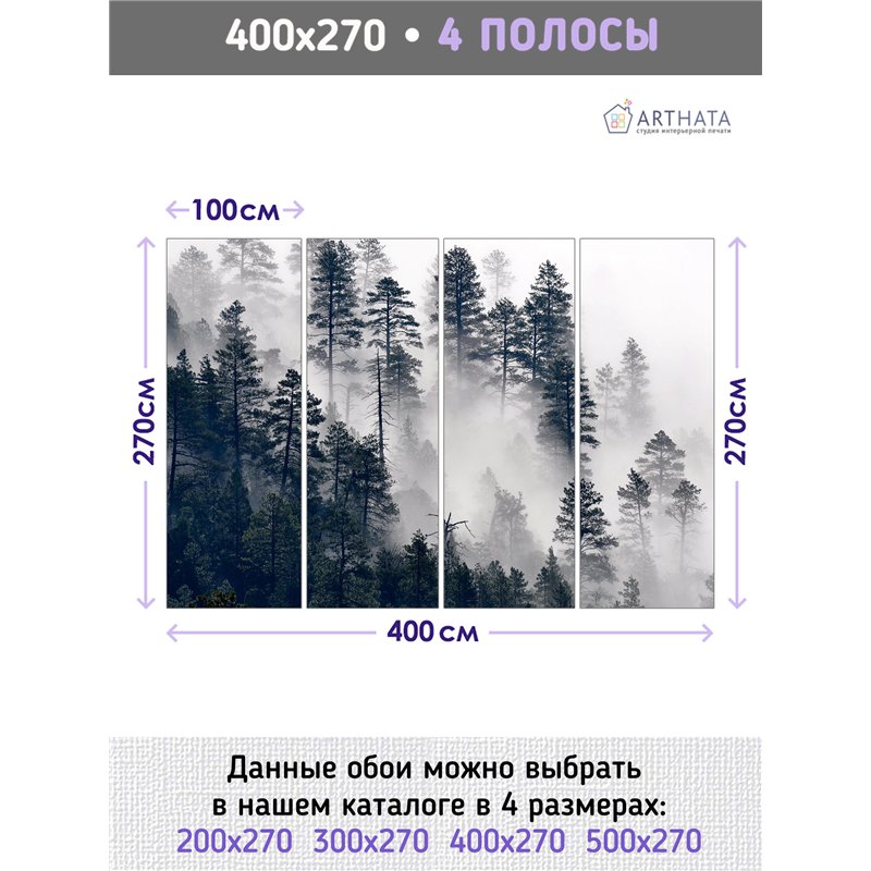 Фотообои Сосновый лес в тумане 400х270 см для коридора