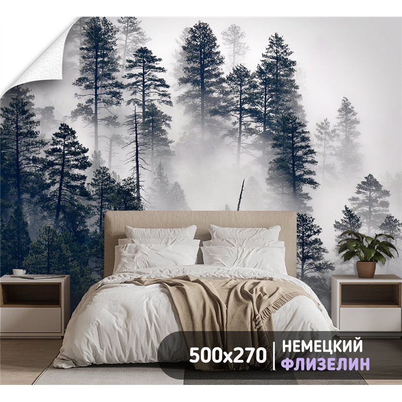 Фотообои Сосновый лес в тумане 500х270 см для декорирования стен в зале