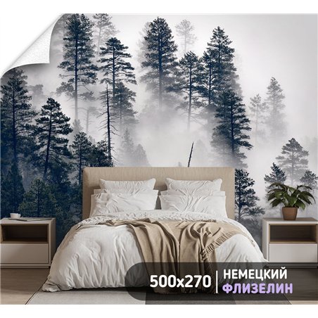 Фотообои Сосновый лес в тумане 500х270 см для декорирования стен в зале