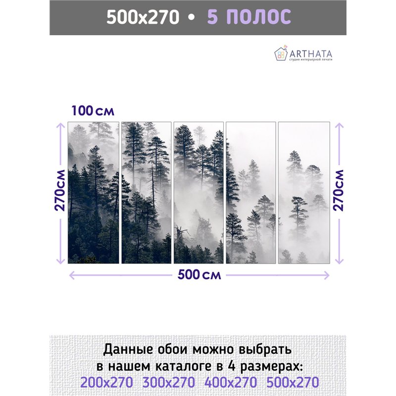 Фотообои Сосновый лес в тумане 500х270 см для декорирования стен в зале