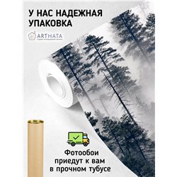 Фотообои Сосновый лес в тумане 500х270 см для декорирования стен в зале