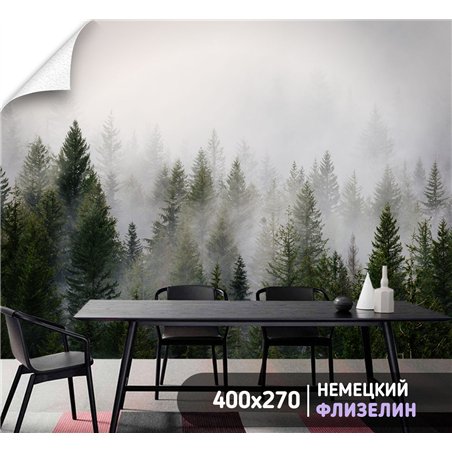 Фотообои Лес в тумане 400х270 см флизелиновые с виниловым покрытием