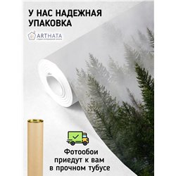 Фотообои Лес в тумане 400х270 см флизелиновые с виниловым покрытием