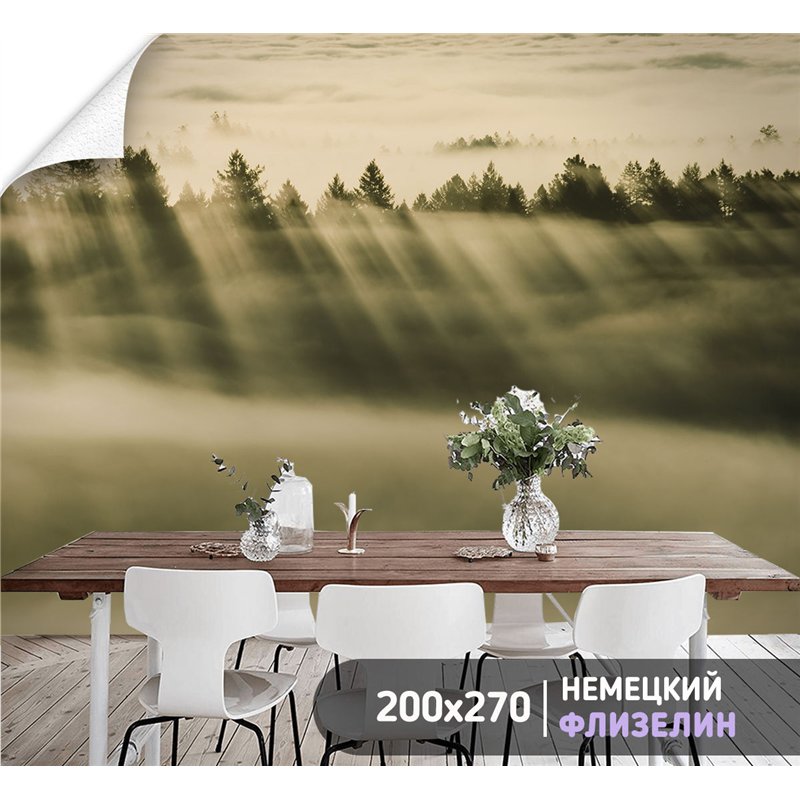 Фотообои Лес в тумане с солнечными лучами 200х270 см для коридора