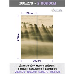 Фотообои Лес в тумане с солнечными лучами 200х270 см для коридора