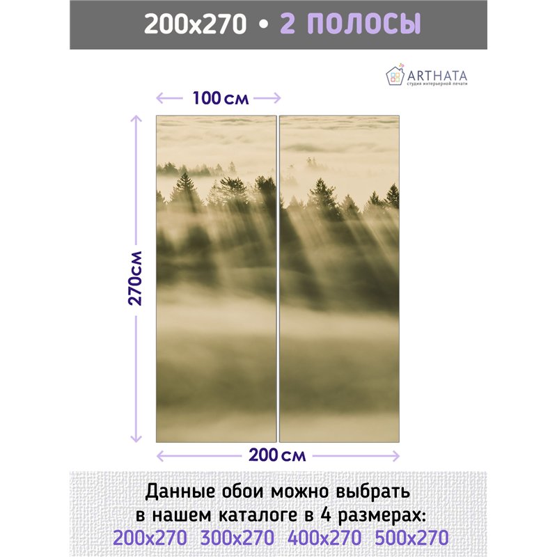 Фотообои Лес в тумане с солнечными лучами 200х270 см для коридора