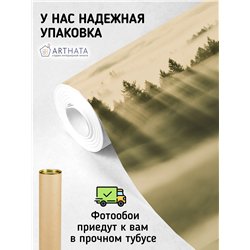 Фотообои Лес в тумане с солнечными лучами 200х270 см для коридора