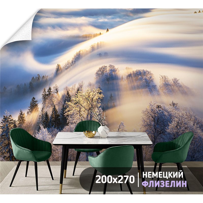 Фотообои Зимний лес в солнечных лучах 200х270 см для коридора