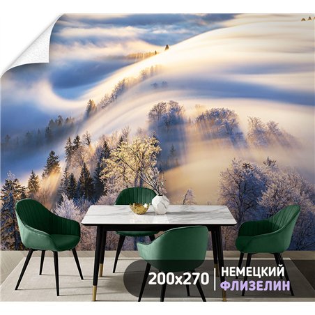 Фотообои Зимний лес в солнечных лучах 200х270 см для коридора