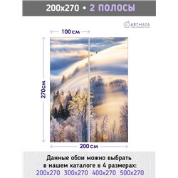 Фотообои Зимний лес в солнечных лучах 200х270 см для коридора