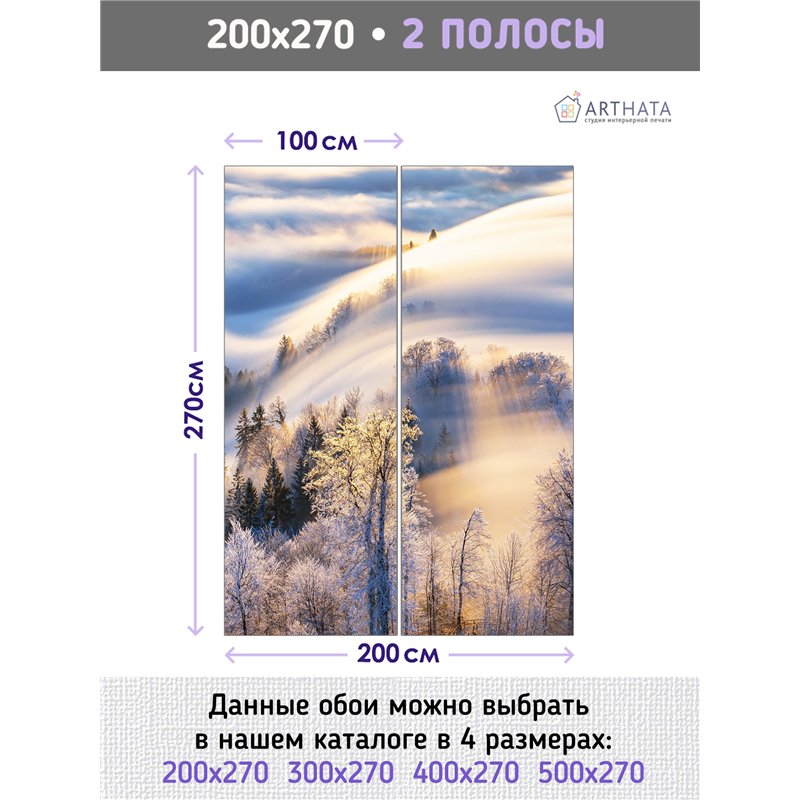Фотообои Зимний лес в солнечных лучах 200х270 см для коридора