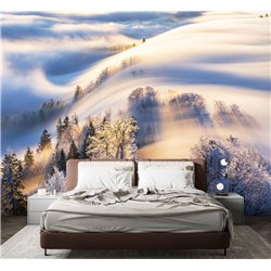 Фотообои Зимний лес в солнечных лучах 200х270 см для коридора