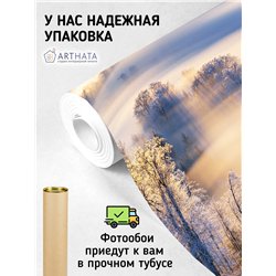 Фотообои Зимний лес в солнечных лучах 400х270 см для оформления стен в гостиной