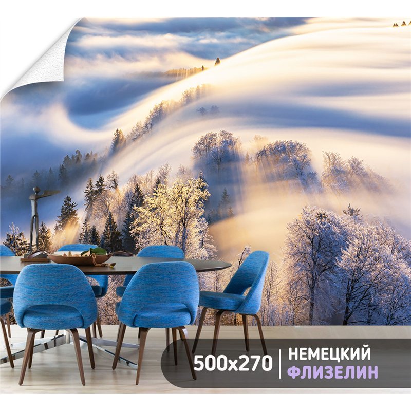 Фотообои Зимний лес в солнечных лучах 500х270 см интерьерные