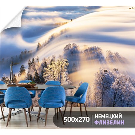 Фотообои Зимний лес в солнечных лучах 500х270 см интерьерные
