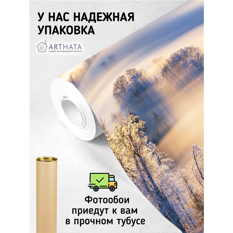 Фотообои Зимний лес в солнечных лучах 500х270 см интерьерные