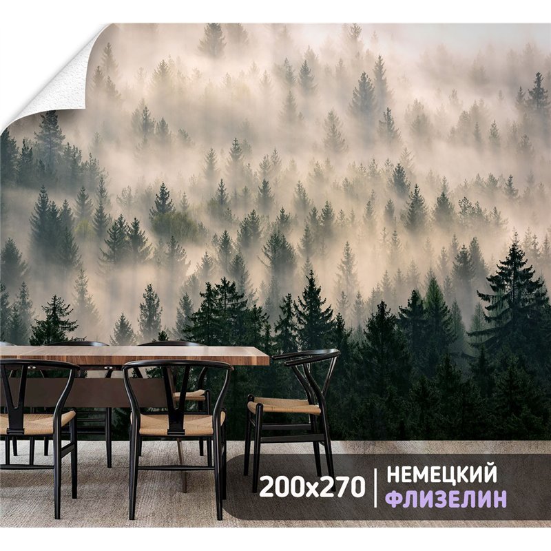 Фотообои Лес в тумане с солнечными лучами 200х270 см для стен в гостиной
