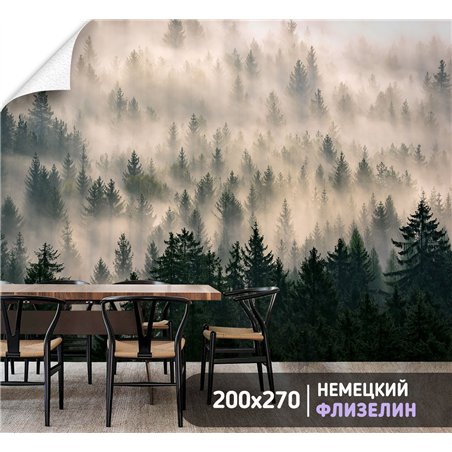 Фотообои Лес в тумане с солнечными лучами 200х270 см для стен в гостиной