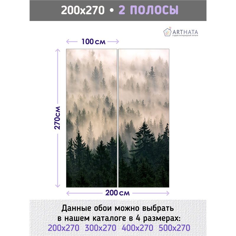Фотообои Лес в тумане с солнечными лучами 200х270 см для стен в гостиной