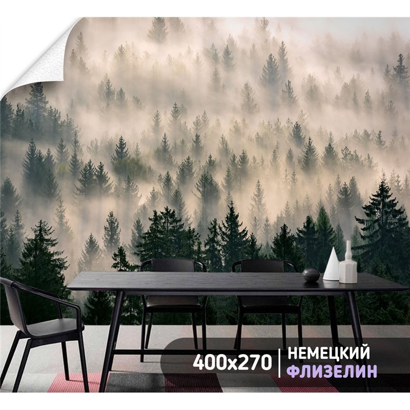 Фотообои Лес в тумане с солнечными лучами 400х270 см для коридора