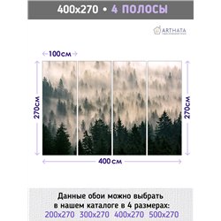 Фотообои Лес в тумане с солнечными лучами 400х270 см для коридора