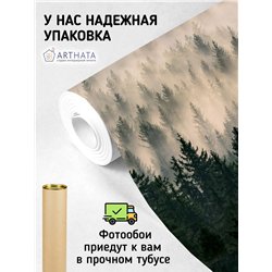 Фотообои Лес в тумане с солнечными лучами 400х270 см для коридора
