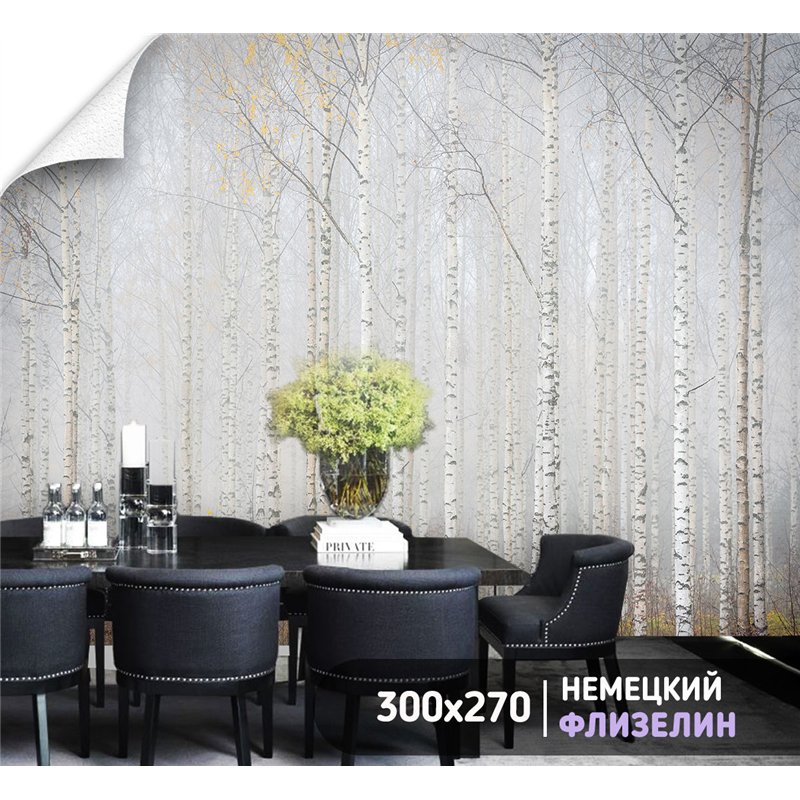 Фотообои Осенний березовый лес в тумане 300х270 см для стен в зале