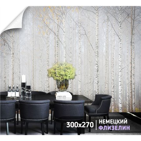 Фотообои Осенний березовый лес в тумане 300х270 см для стен в зале