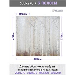 Фотообои Осенний березовый лес в тумане 300х270 см для стен в зале