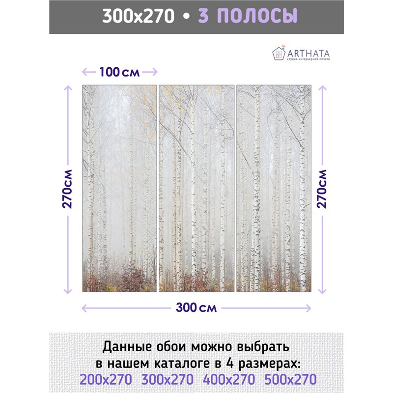 Фотообои Осенний березовый лес в тумане 300х270 см для стен в зале