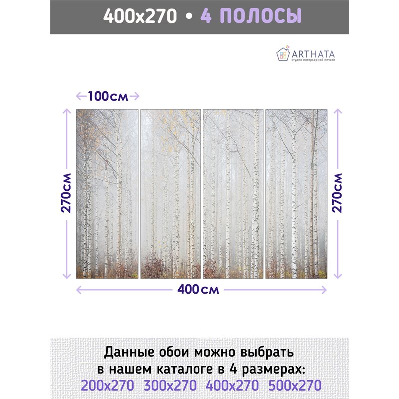 Фотообои Осенний березовый лес в тумане 400х270 см для стен в гостиной
