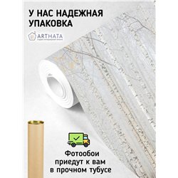 Фотообои Осенний березовый лес в тумане 400х270 см для стен в гостиной