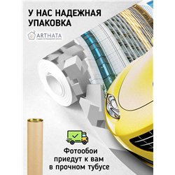 Фотообои для интерьера - 500х270см из 5и полос. Обои для стен, оформление спальни, детской комнаты, кухни, гостинной.