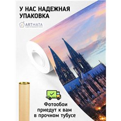 Фотообои для интерьера - 500х270см из 5и полос. Обои для стен, оформление спальни, детской комнаты, кухни, гостинной.