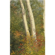 Картина на холсте по фото Модульные картины Печать портретов на холсте Осенние березы